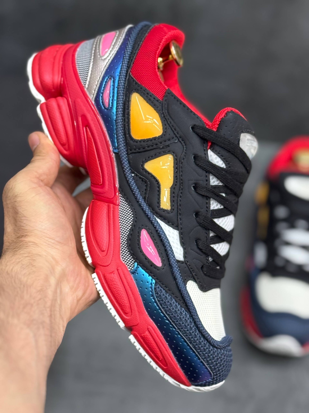 Raf Simons x Adidas Ozweego